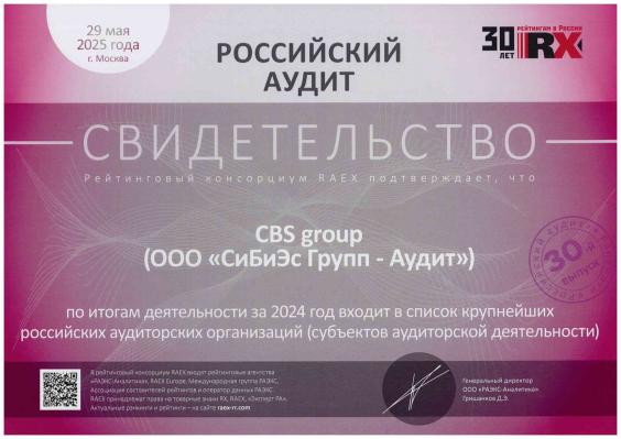 Свидетельство Аудиторская деятельность 2024 год